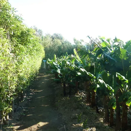 Farma Qva - Quinta Velha Amoreiras Vila Franca do Campo