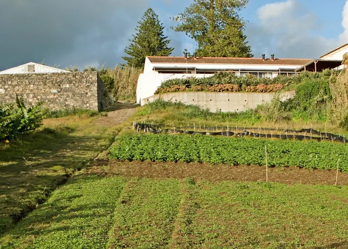 Farm stay Qva - Quinta Velha Amoreiras *