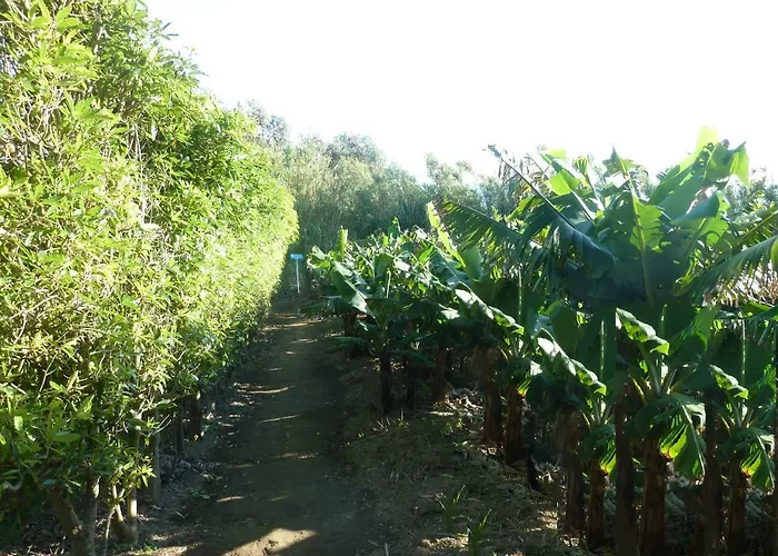 Farm stay Qva - Quinta Velha Amoreiras Vila Franca do Campo