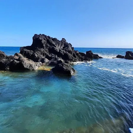 Фермерский дом Qva - Quinta Velha Amoreiras *