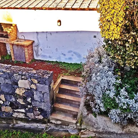 Фермерский дом Qva - Quinta Velha Amoreiras *