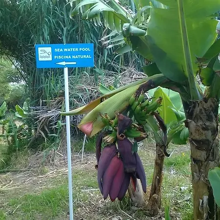 Qva - Quinta Velha Amoreiras Gospodarstwo agroturystyczne Vila Franca do Campo