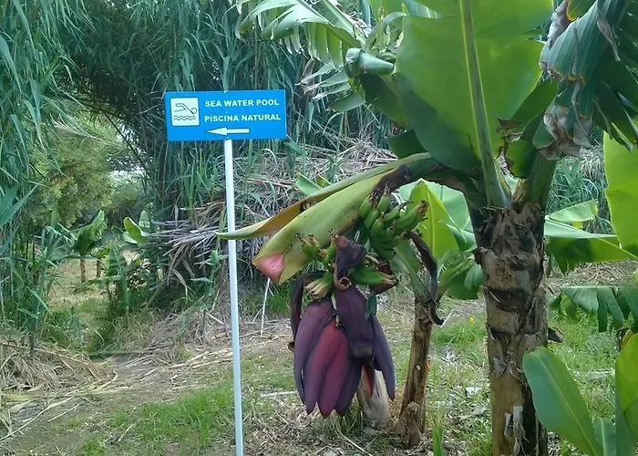 Qva - Quinta Velha Amoreiras Çiftlik konaklama Vila Franca do Campo